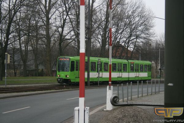 ��� ����� �����