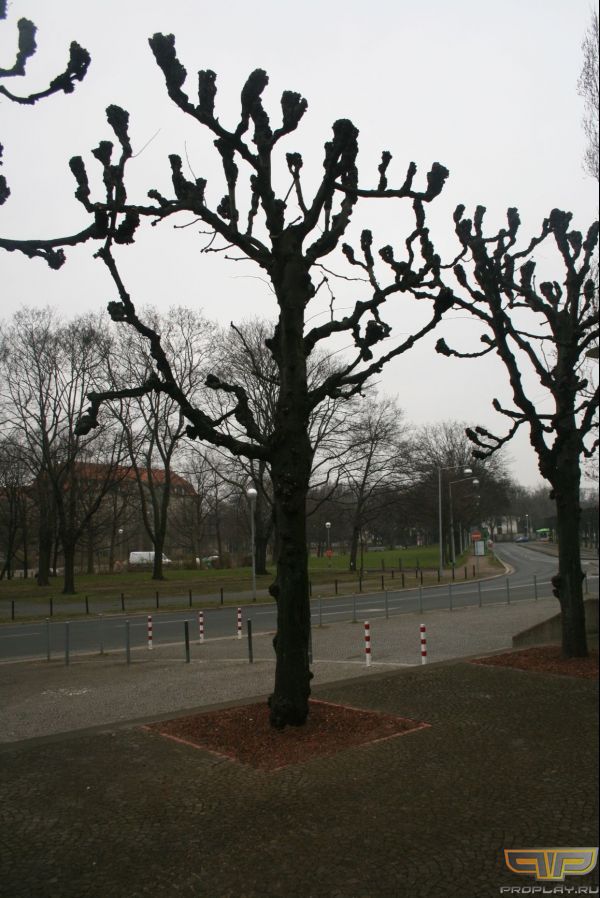 ������� ������� ��� ������ ���������