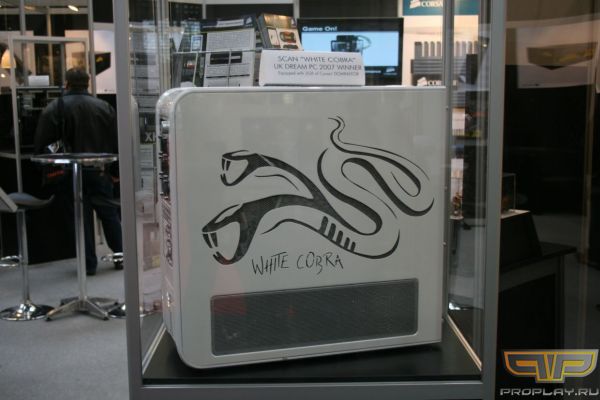 ����� �����, ���� ���!