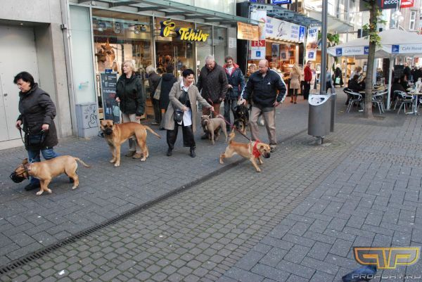 ��� ������� ������