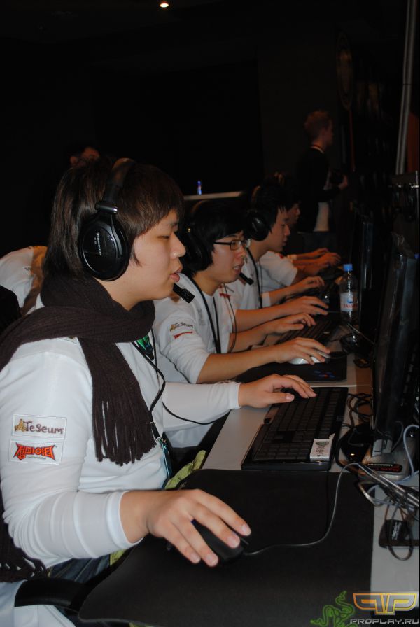 ��� ���� ����� WMF