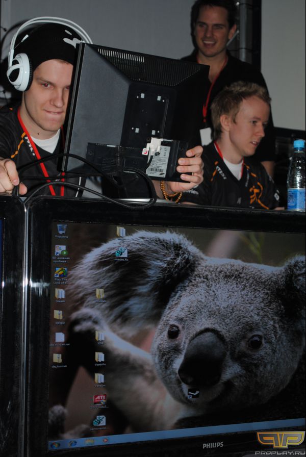 Forest � �����