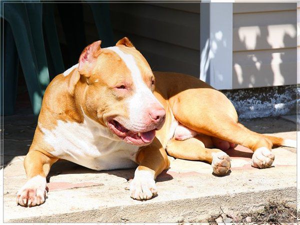 [�� �������]