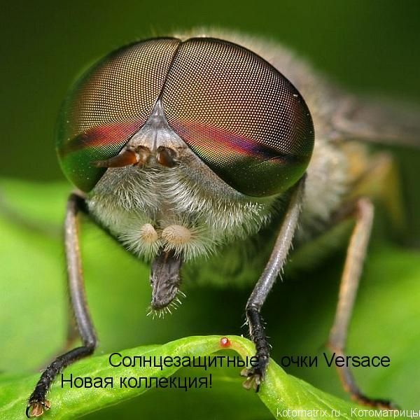 [�� �������]