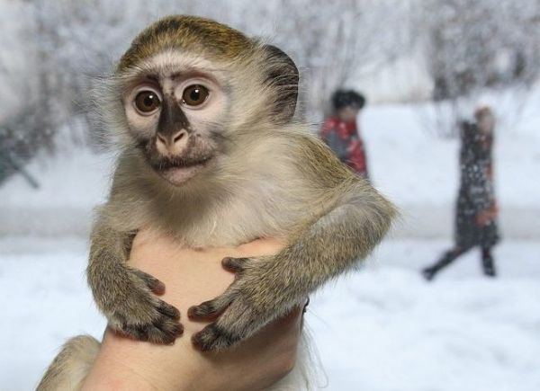 [�� �������]