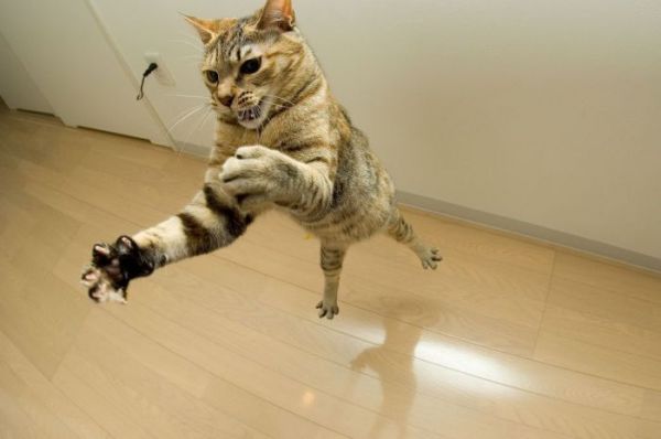 [�� �������]