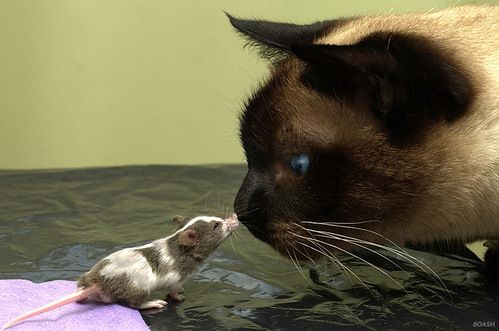 [�� �������]