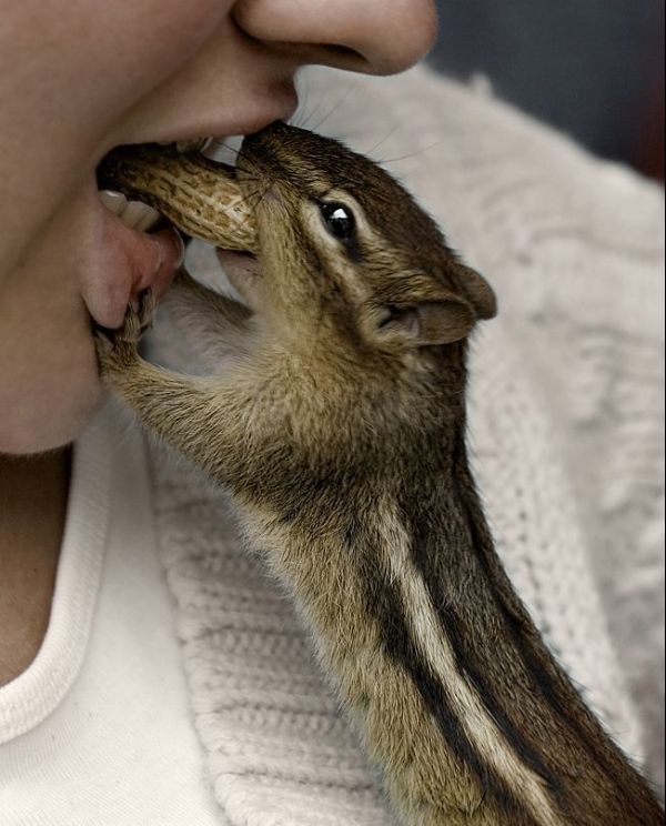 [�� �������]