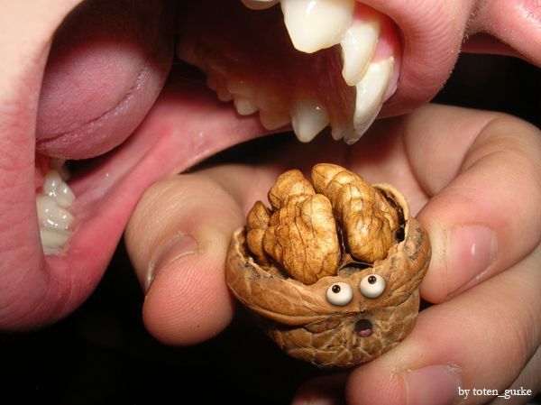 [�� �������]