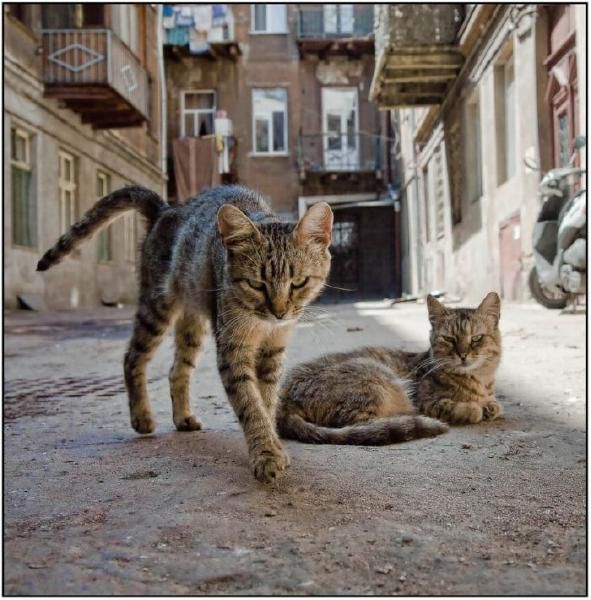 [�� �������]