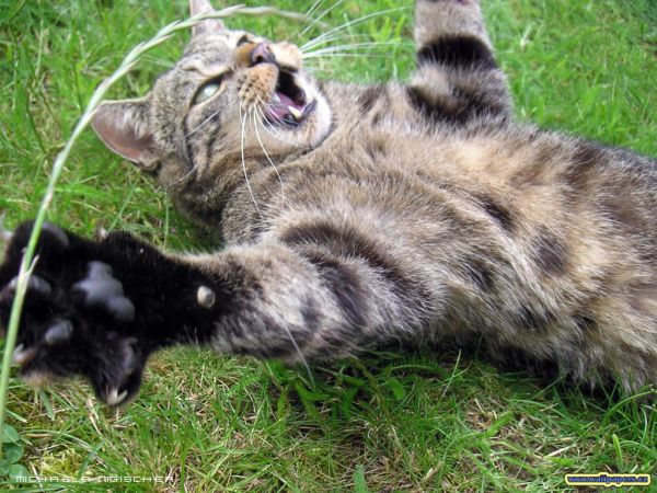 [�� �������]