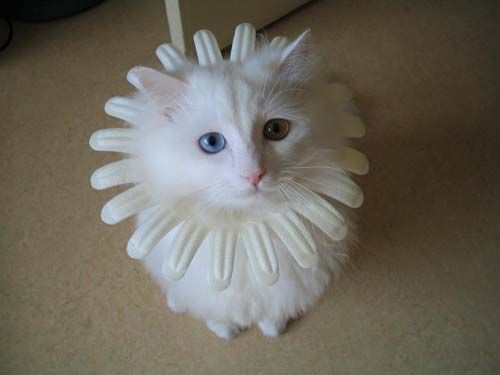[�� �������]