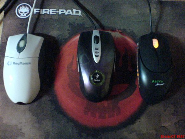 Mouse evolution 