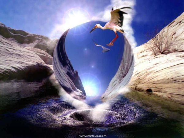 [�� �������]