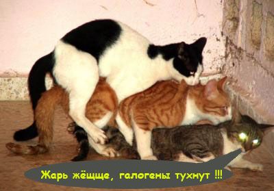 ���� �� 3... � �� �������� ������ � �����) 