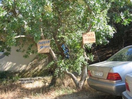 ������ 1