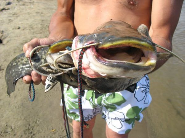 ����� ����=)