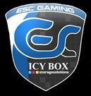 ESC Gaming